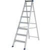 Aluminum Builders Ladder